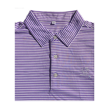 Load image into Gallery viewer, The Purple Martin Polo | Striped
